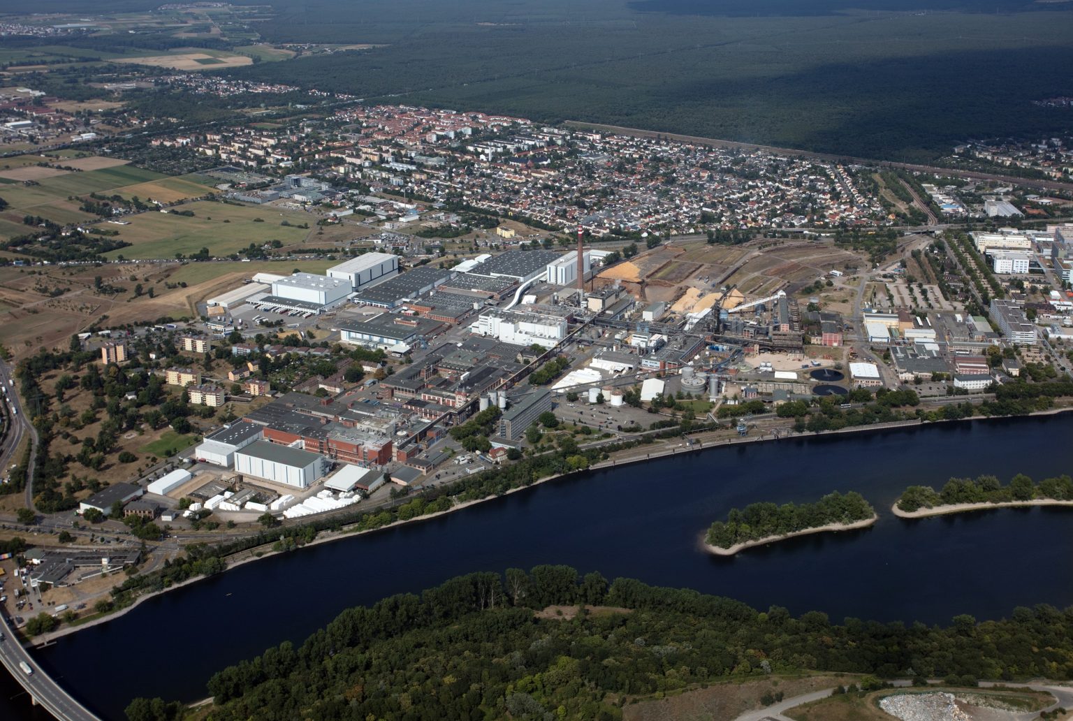 In Mannheim befindet sich Essitys größter europäischer Produktionsstandort. Foto: Essity